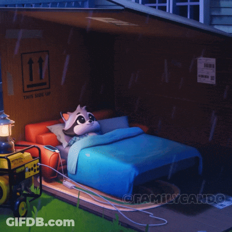 A Raccoon Is Laying On A Bed In A Room With A Sign That Says " This Side Up " GIF
