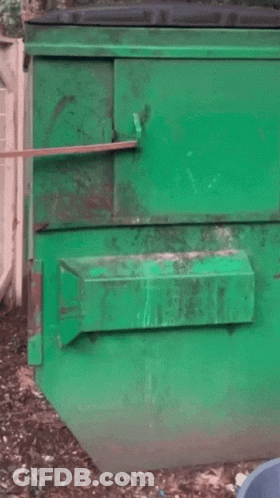 A Raccoon Is Looking Out Of A Green Door GIF