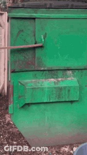 A Raccoon Is Looking Out Of A Green Dumpster GIF
