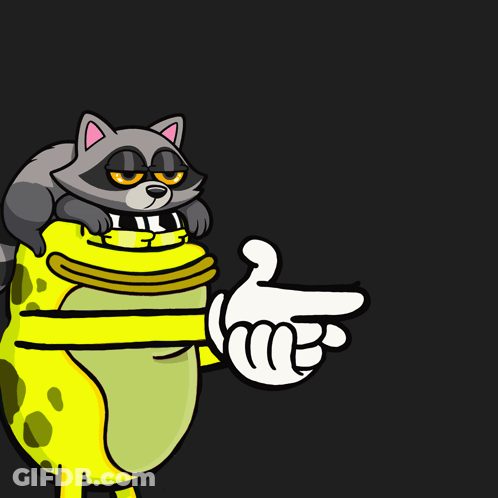 A Raccoon Is Pointing At A Frog With The Word Pow Written On It GIF