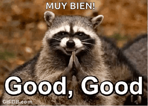 A Raccoon Is Praying With The Words Muy Bien Good Good Written Above It GIF