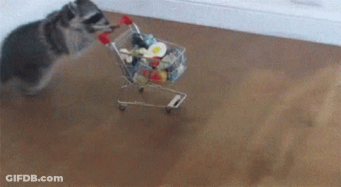 A Raccoon Is Pushing A Shopping Cart Full Of Food GIF
