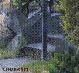 A Raccoon Is Running Through A Grassy Field Near A Road GIF