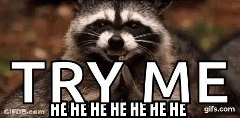 A Raccoon Is Smiling And Laughing With The Words `` Try Me '' Written Below It . GIF