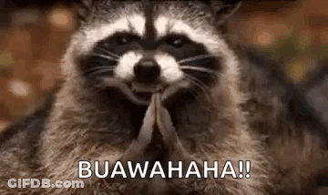 A Raccoon Is Smiling And Praying With Its Hands Folded In Prayer . GIF
