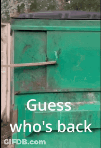 A Raccoon Looking Out Of A Green Dumpster With The Words Guess Who 'S Back GIF