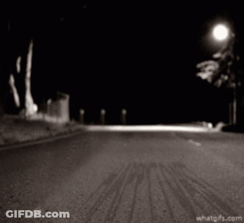 A Raccoon On A Leash Is Walking Down A Road At Night GIF