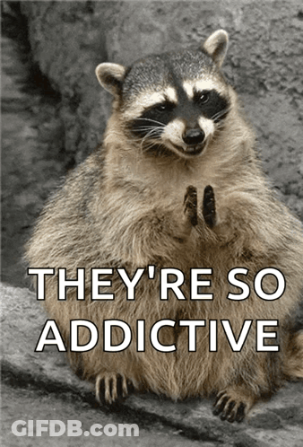 A Raccoon Sitting On A Rock With The Words They 'Re So Addictive GIF