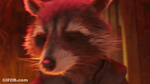 A Raccoon Wearing Glasses Is Reading A Newspaper That Says ' Shockwave ' On The Front GIF
