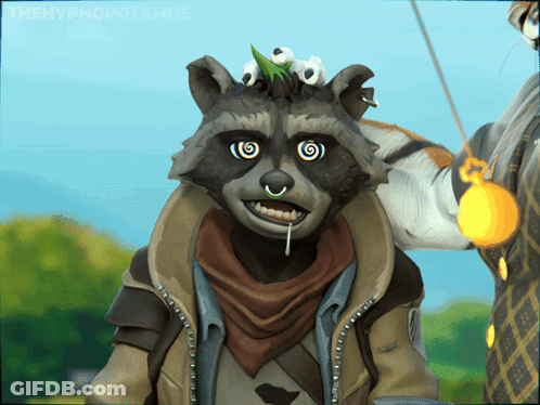 A Raccoon With A Hypnotic Look On His Face Is Being Held By A Man GIF