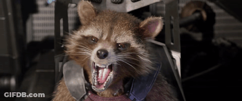 A Raccoon With Its Mouth Open Is Wearing A Harness GIF