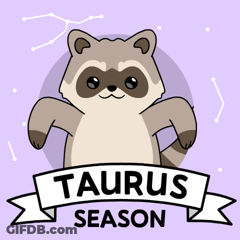 A Raccoon With The Word Taurus On A Banner GIF