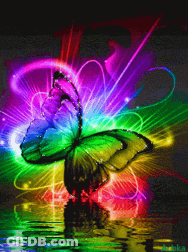 A Rainbow Colored Butterfly Is Reflected In The Water With A Reflection Of The Butterfly In The Water GIF