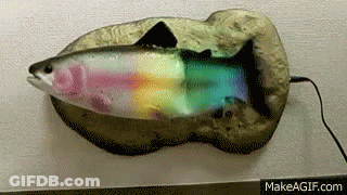 A Rainbow Colored Fish On A Rock With Makeagif.com Written On The Bottom Right GIF