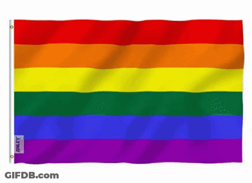 A Rainbow Flag With A Label That Says Ally On It GIF