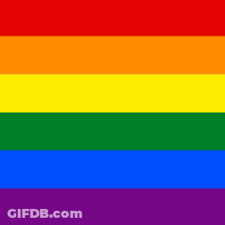 A Rainbow Flag With A Shadow Of A Person In The Background . GIF