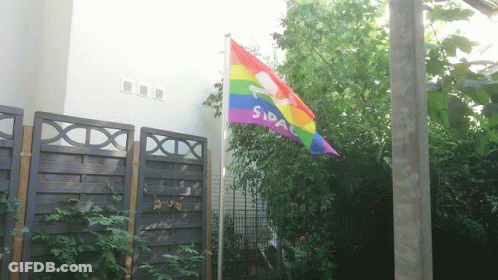 A Rainbow Flag With The Word Sida On It Is Flying In Front Of A Fence GIF