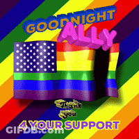 A Rainbow Flag With The Words Goodnight Ally GIF