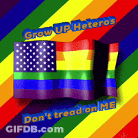 A Rainbow Flag With The Words Grow Up Heteros GIF