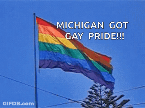 A Rainbow Flag With The Words Michigan Got Gay Pride Below It GIF