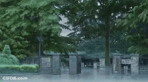 A Rainy Day In A Park With A Sign That Says ' A ' On It GIF