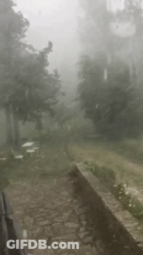 A Rainy Day In A Park With Trees And A Stone Walkway . GIF