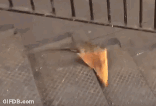 A Rat Is Eating A Slice Of Pizza On A Staircase . GIF