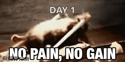 A Rat Is Laying On A Table With The Words `` No Pain , No Gain '' Written On It . GIF