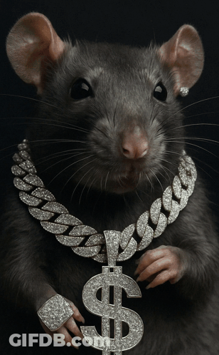 A Rat Wearing A Diamond Chain With A Dollar Sign On It GIF
