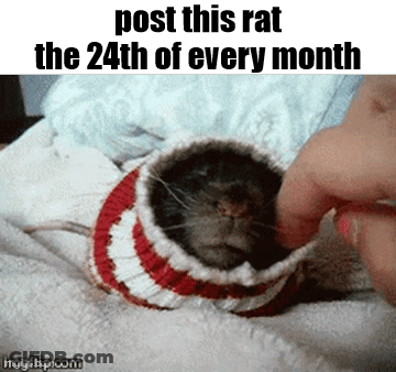 A Rat Wearing A Red And White Striped Sweater Is Being Petted By A Person GIF