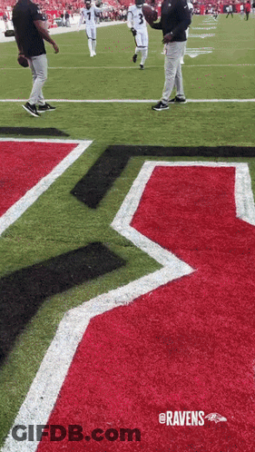A Ravens Football Field With Players On It GIF