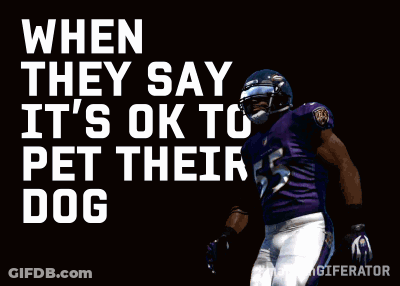 A Ravens Football Player Is Jumping In The Air With The Words When They Say It 'S Ok To Pet The Dog Behind Him GIF