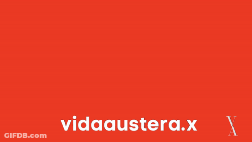 A Red And Black Checkered Background With The Words Vidaaustera.x On It GIF