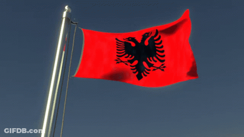 A Red And Black Flag With An Eagle On It GIF