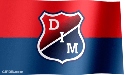 A Red And Blue Flag With A Shield With The Letter D On It GIF
