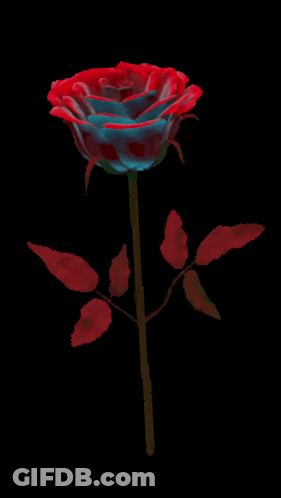 A Red And Blue Rose On A Black Background With Leaves GIF