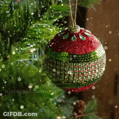 A Red And Green Christmas Ball Is Hanging From A Christmas Tree GIF
