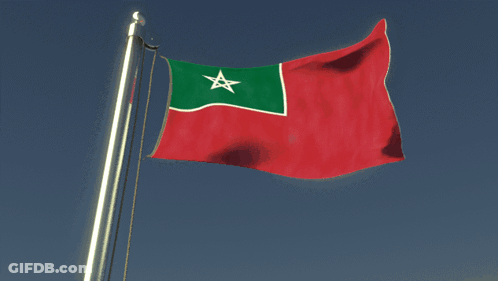 A Red And Green Flag With A White Star GIF