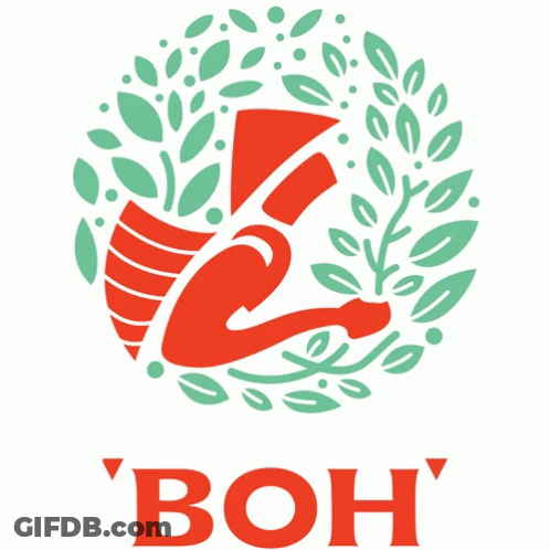 A Red And Green Logo For ' Boh ' With A Leafy Design GIF
