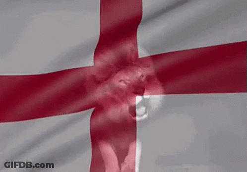 A Red And White Cross With A Lion 'S Head On It GIF