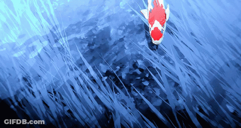 A Red And White Fish Is Swimming In A Dark Blue Water GIF