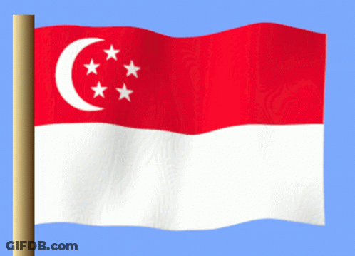 A Red And White Flag With A Crescent Moon And Five Stars GIF