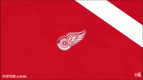 A Red And White Flag With The Letter A In The Corner GIF