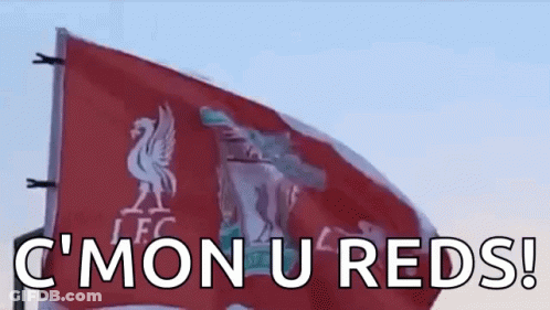 A Red And White Flag With The Words `` C ' Mon U Reds '' Written On It GIF