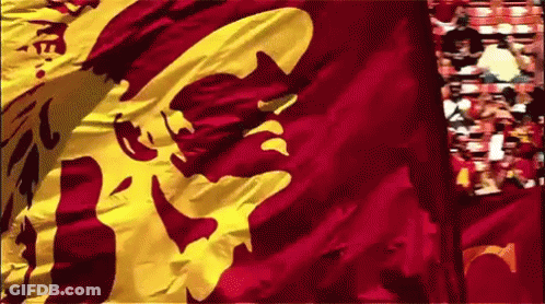 A Red And Yellow Flag With A Lion Design On It GIF