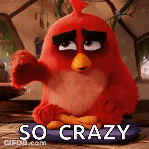 Red Angry Bird Sitting On Pillow Saying So Crazy GIF