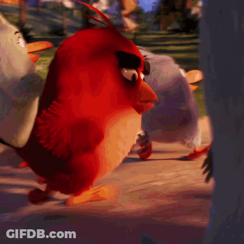 Red Angry Bird Standing Next To Gray Bird GIF