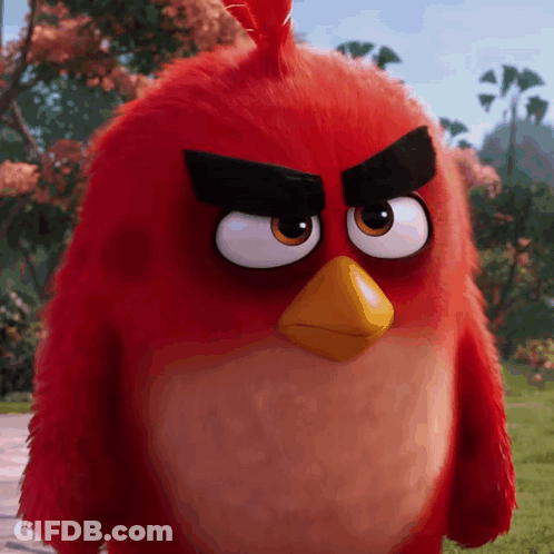 Red Angry Bird Looking At Camera GIF