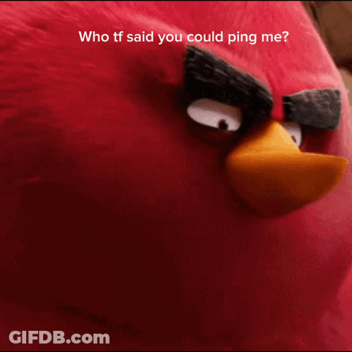 A Red Angry Bird With The Words Who Tf Said You Could Ping Me Below It GIF