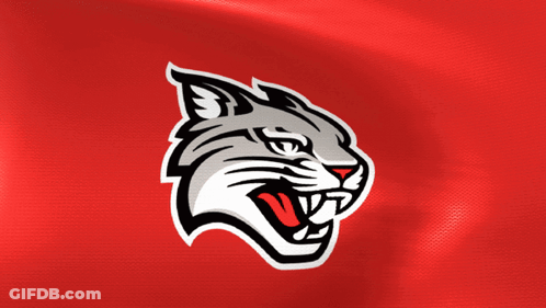 A Red Background With A Logo Of A Cat GIF